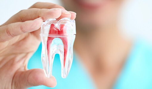 Endodontics